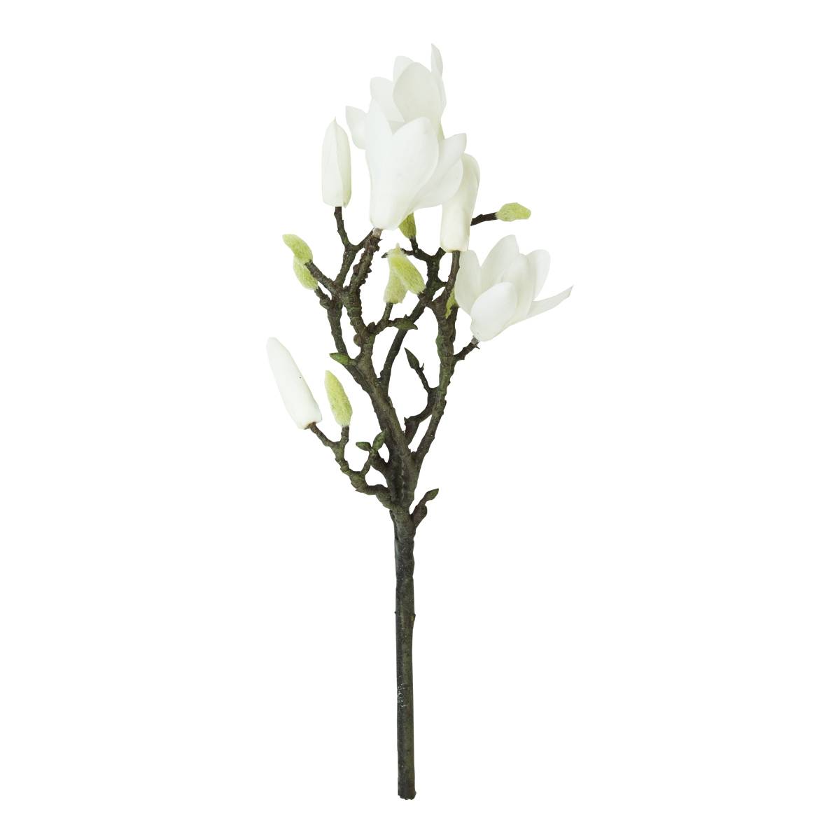 Rama De Magnolias Blancas | Flores | decoracion